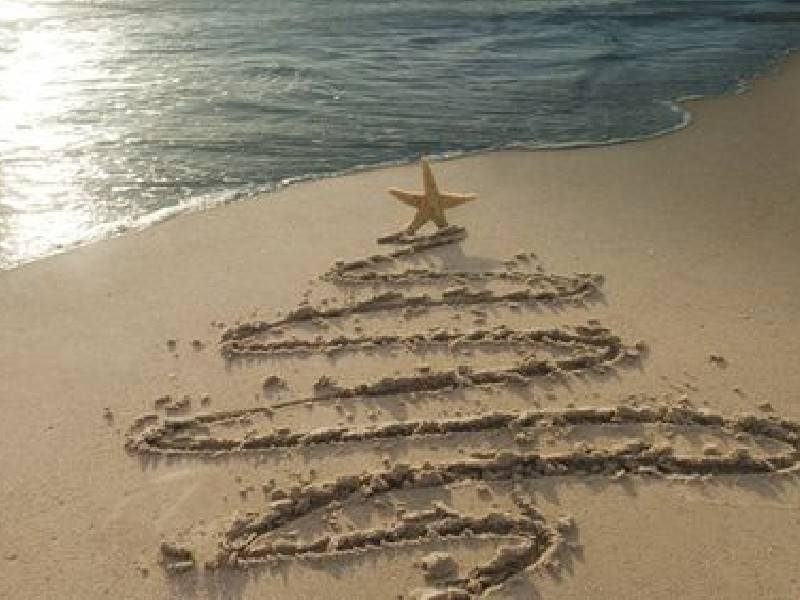 Feiern Sie die Feiertage am Zon Zee Strand!